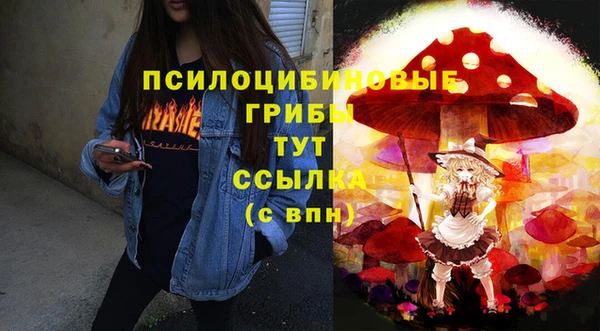 спайс Горняк