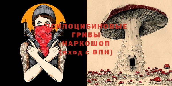 прущая мука Горно-Алтайск
