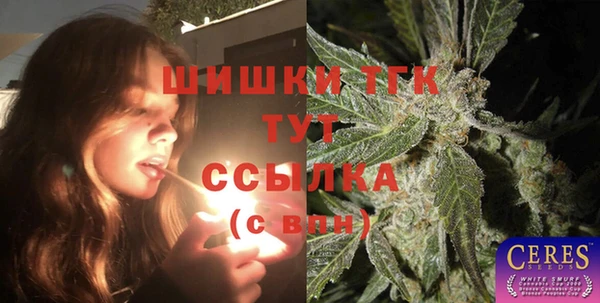 спайс Горняк