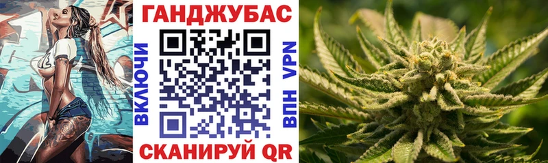 Каннабис планчик Избербаш